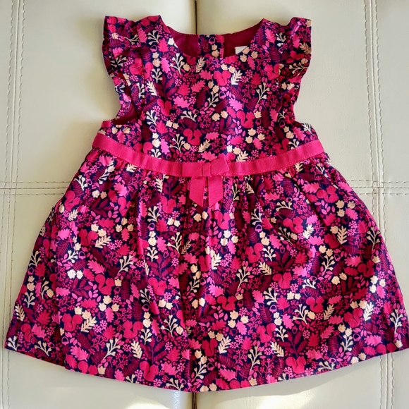 Gymboree Other - Gymboree Woodland Baby Girl Dress